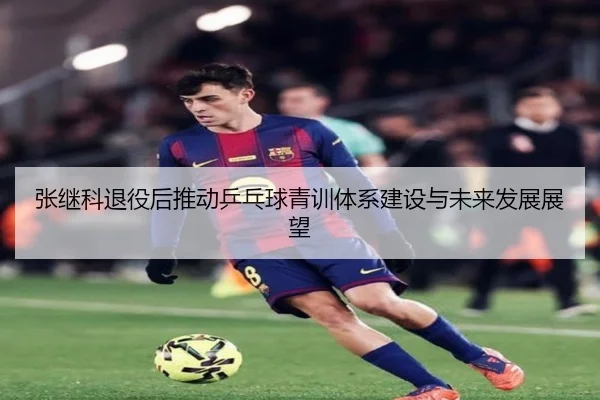 张继科退役后推动乒乓球青训体系建设与未来发展展望（LEYU SPORTS）